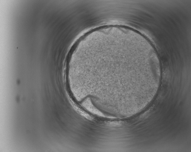 X0000080101126200612301911