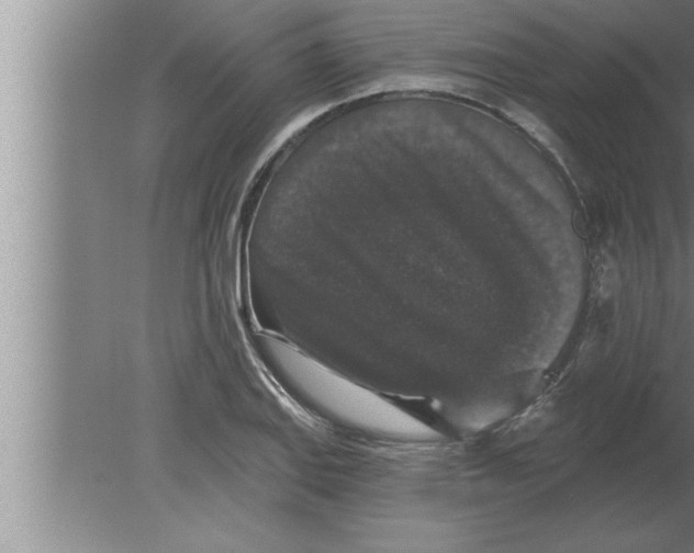 X0000080101127200612301911