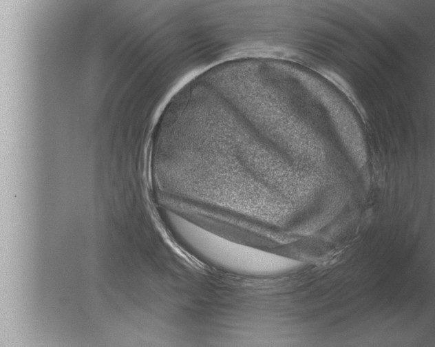 X0000080101128200612301911