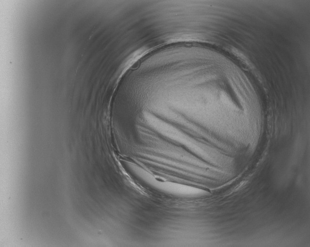 X0000080101129200612301911