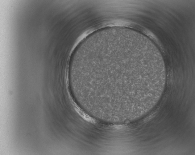 X0000080101130200612301911