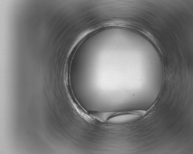 X0000080101131200612301911