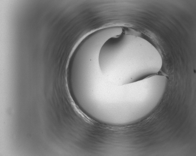 X0000080101132200612301911