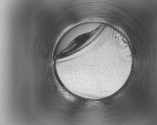 X0000080101133200612301911