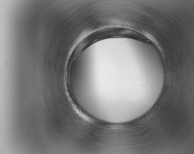 X0000080101136200612301911