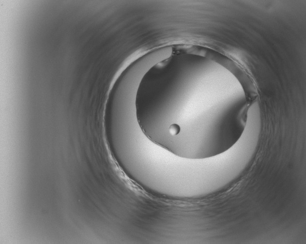 X0000080101138200612301911