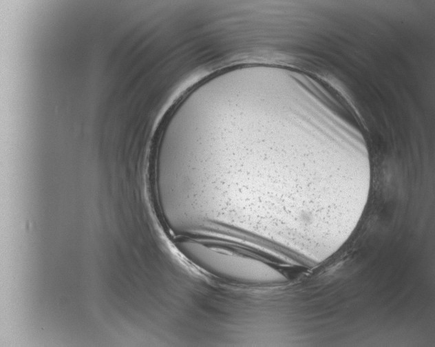 X0000080101139200612301911