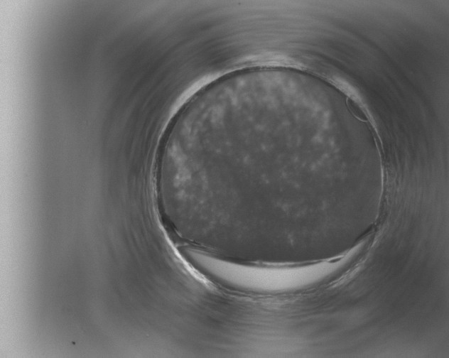 X0000080101141200612301911