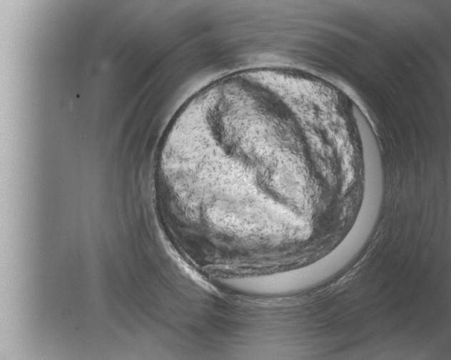 X0000080101142200612301911