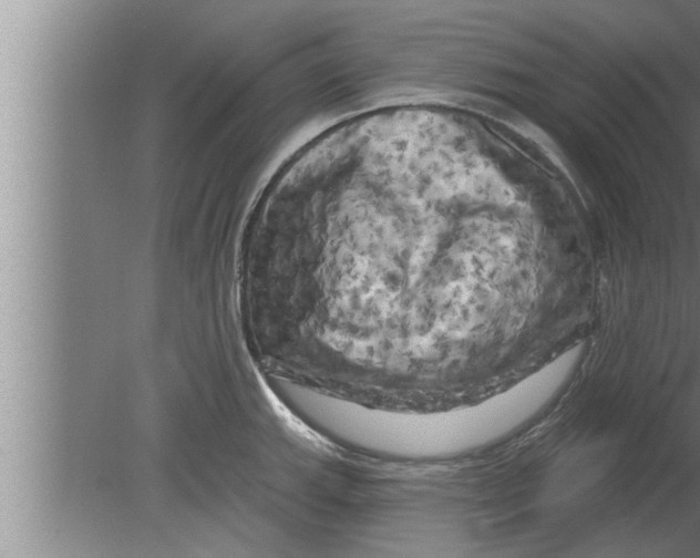 X0000080101143200612301911