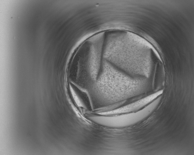 X0000080101144200612301911