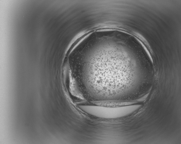 X0000080101146200612301911