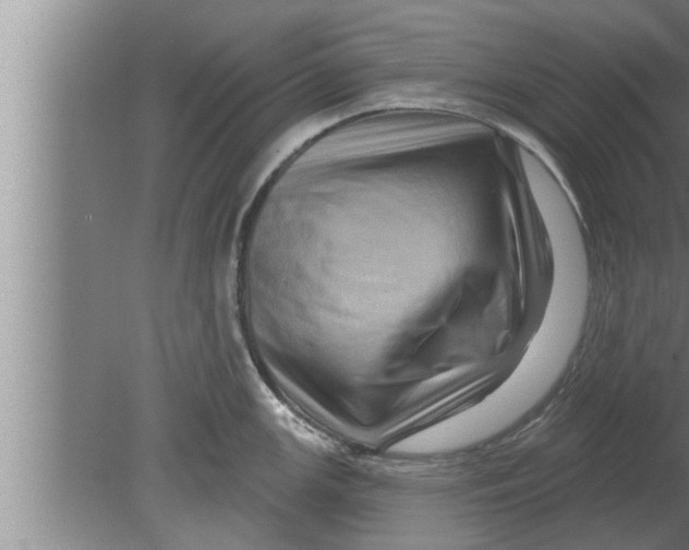 X0000080101147200612301911