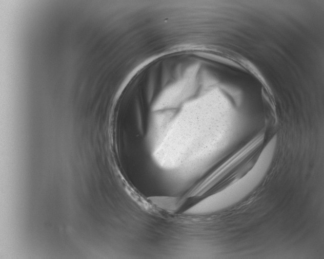 X0000080101148200612301911