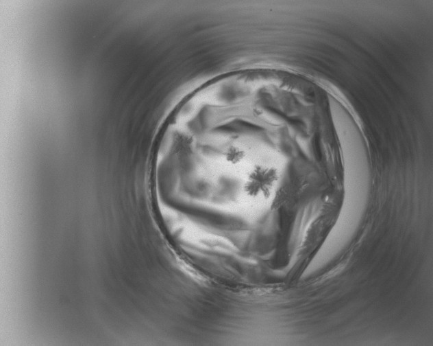 X0000080101149200612301911