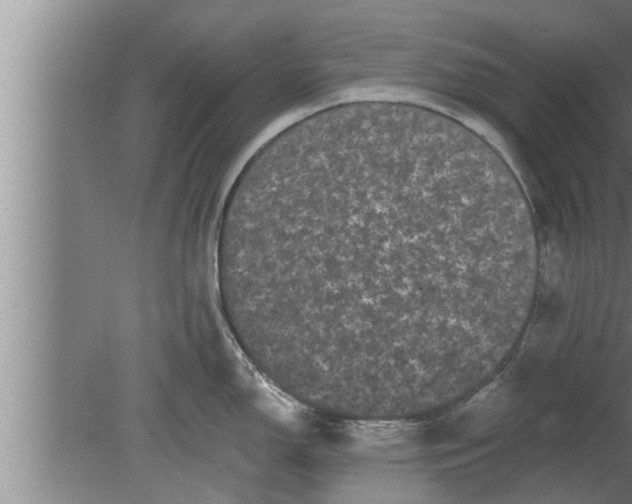 X0000080101150200612301911