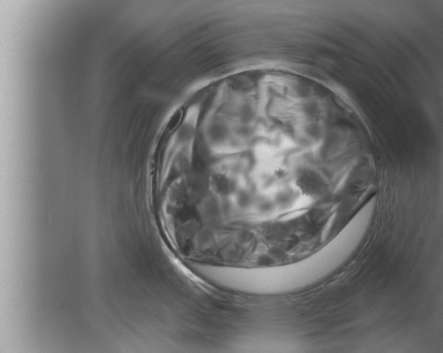 X0000080101151200612301911