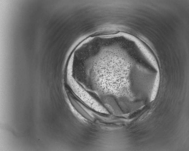 X0000080101152200612301911