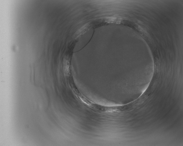 X0000080101154200612301910