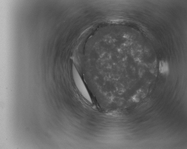 X0000080101155200612301910