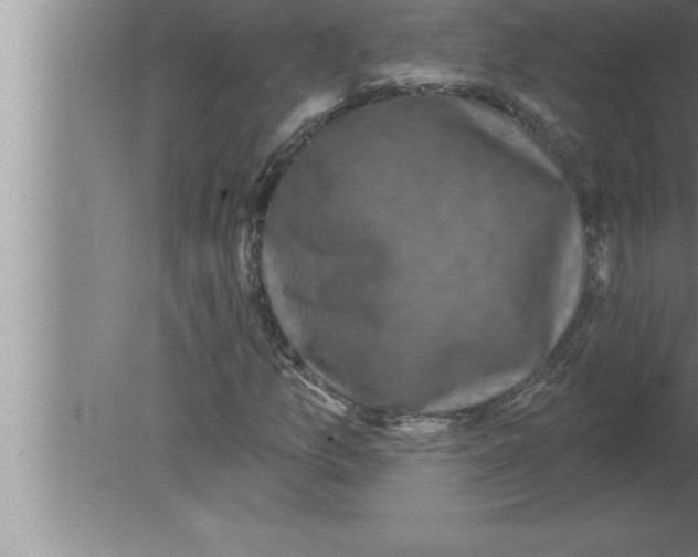 X0000080101157200612301910