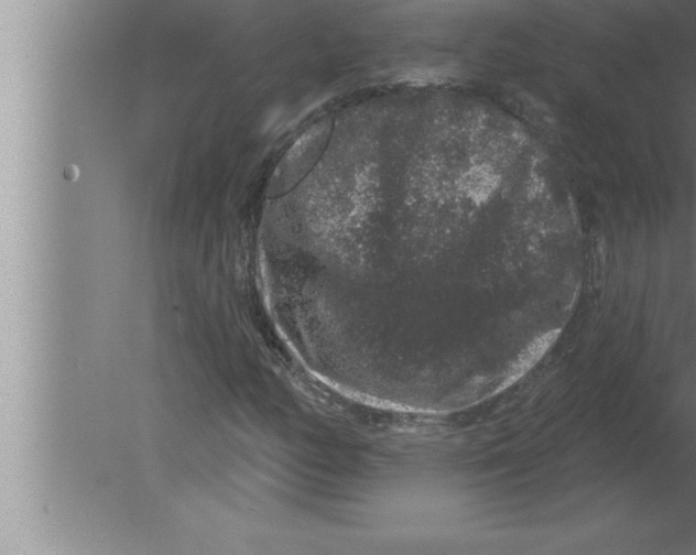 X0000080101158200612301910