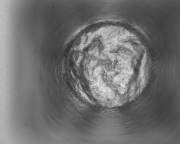 X0000080101159200612301910