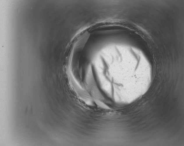 X0000080101160200612301910