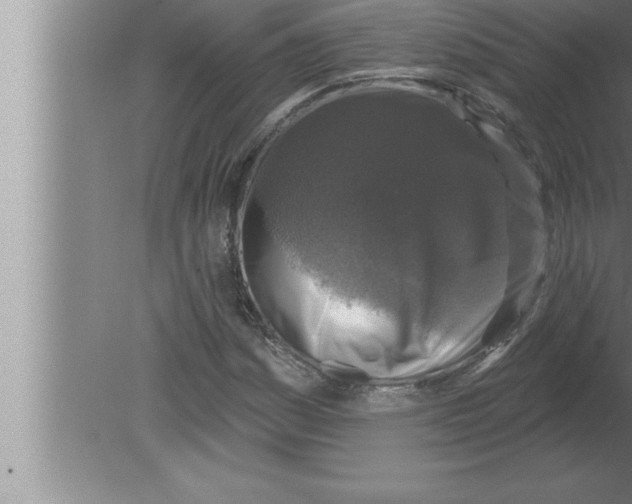 X0000080101161200612301910