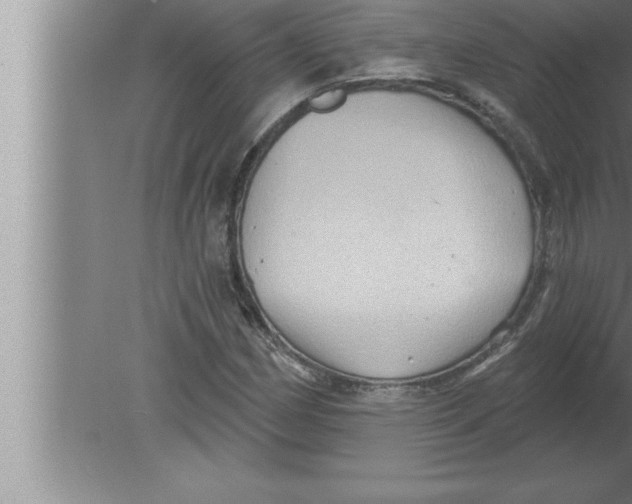 X0000080101162200612301910