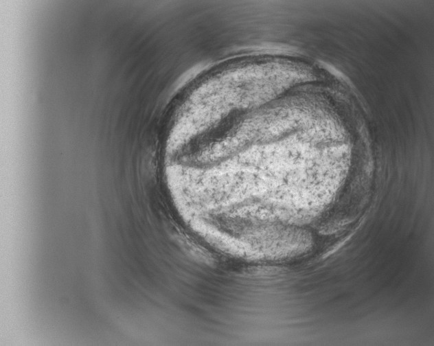 X0000080101163200612301910