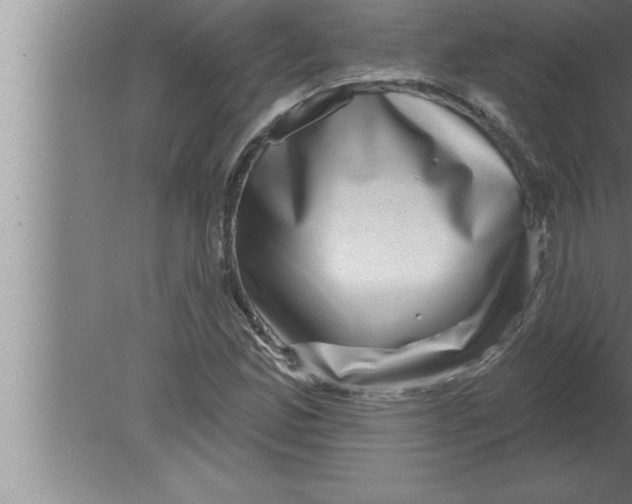 X0000080101165200612301910