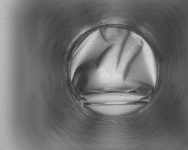 X0000080101166200612301910