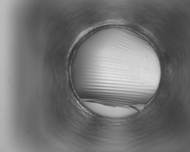 X0000080101168200612301910