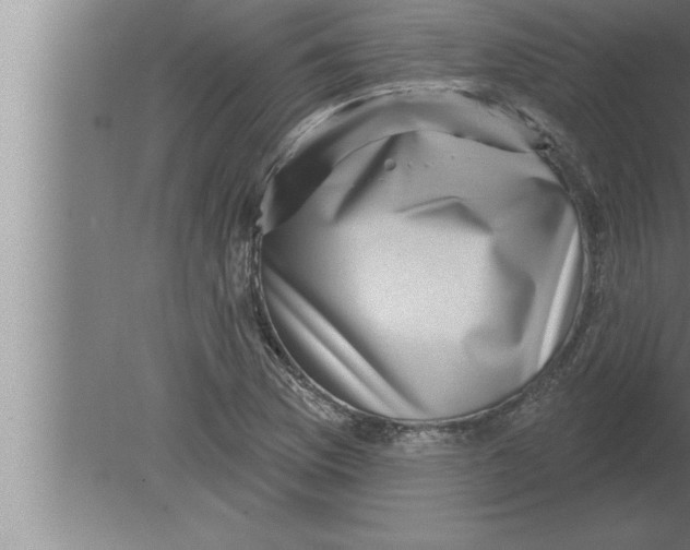 X0000080101169200612301910