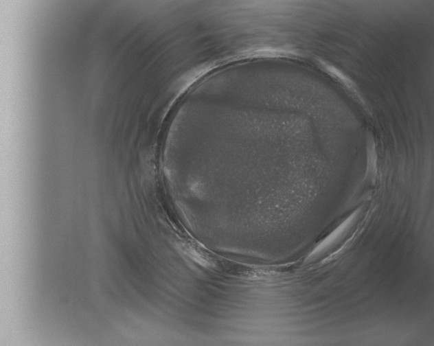 X0000080101170200612301910