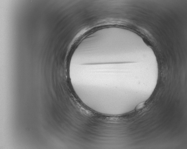 X0000080101172200612301910