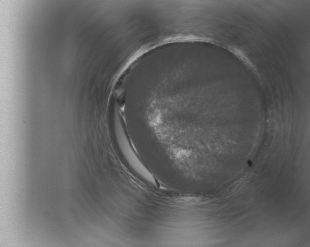 X0000080101173200612301910