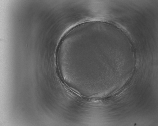 X0000080101174200612301910