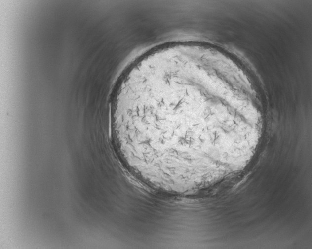 X0000080101175200612301910