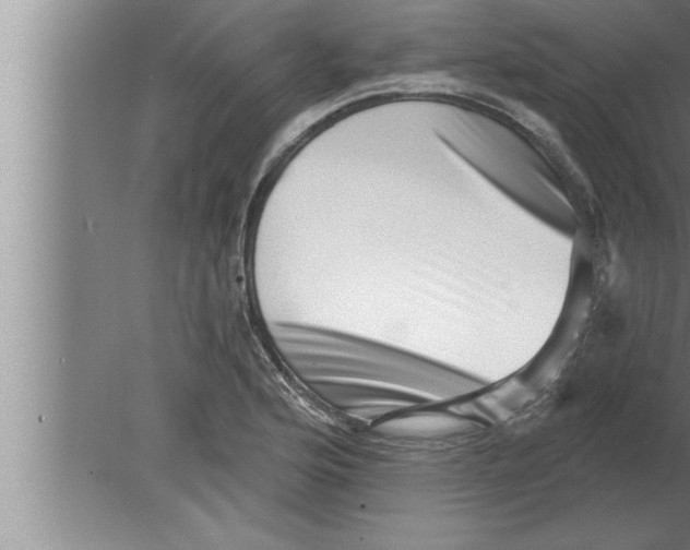 X0000080101176200612301910