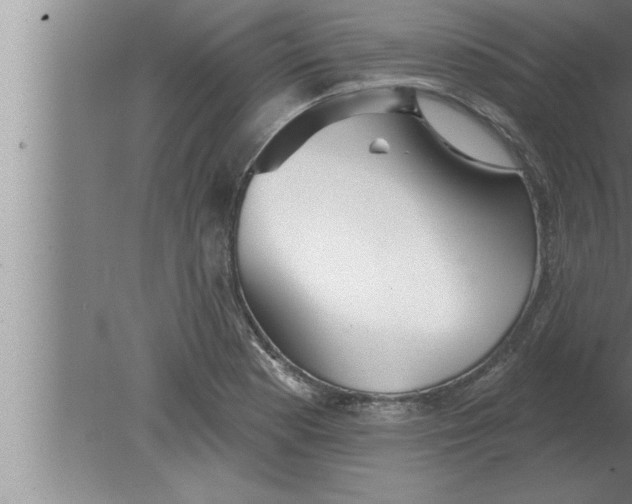 X0000080101177200612301910