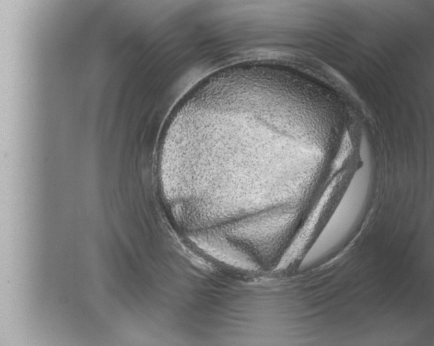 X0000080101178200612301910