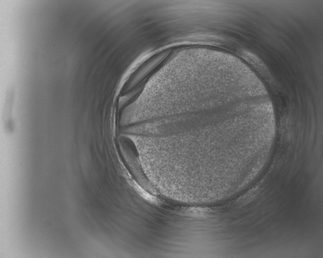 X0000080101180200612301910