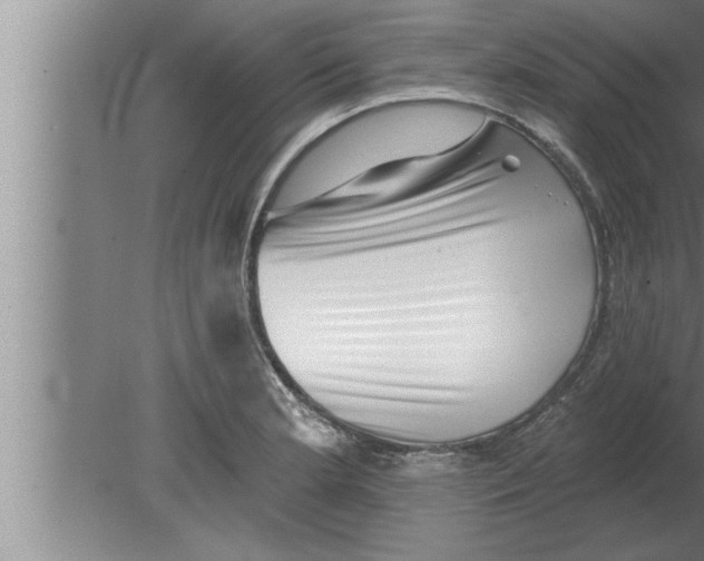 X0000080101181200612301910