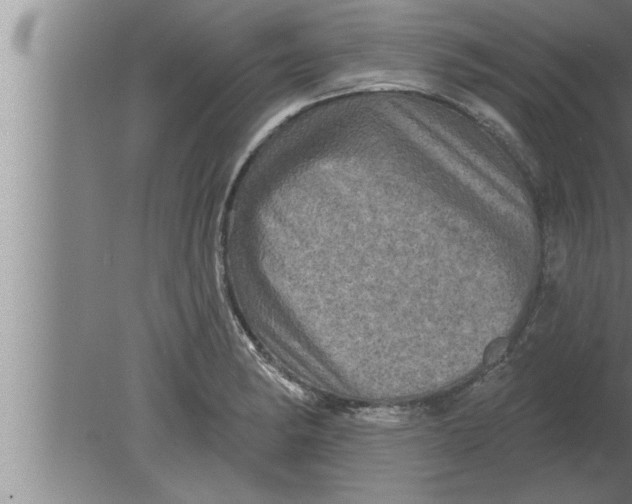 X0000080101182200612301910