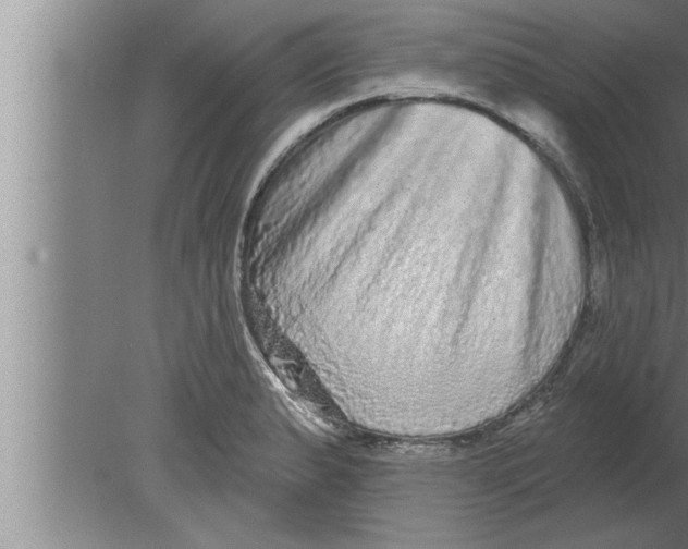 X0000080101183200612301910