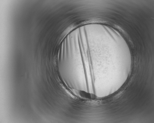 X0000080101185200612301910