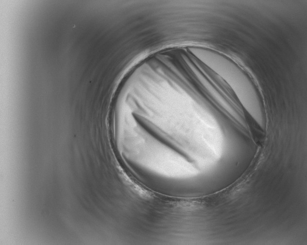 X0000080101189200612301910