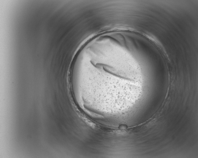 X0000080101190200612301910